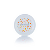 Fiesta® 6.5" Appetizer Plate | Candy Corn ,Polka Dot Design