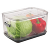 Progressive Large Produce Keeper | 5.7-Quart ,Storage Container